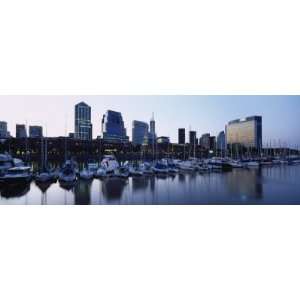  Boats Docked at a Harbor, Puerto Madero, Buenos Aires 