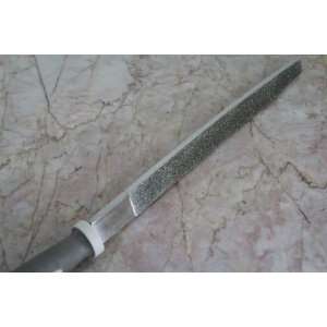  TEMO 10 inch long Diamond Coated FLAT FILE grit 120 