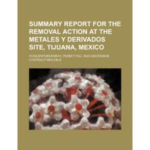 Summary report for the removal action at the Metales y Derivados site 