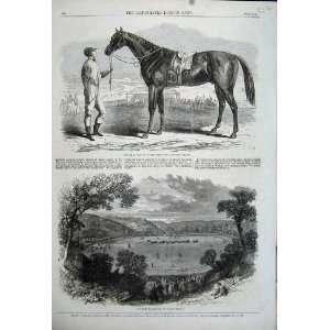    1862 Racecourse Fontainebleau Jonathas Horse Sport