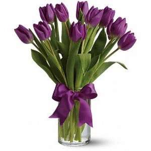  Passionate Purple Tulips