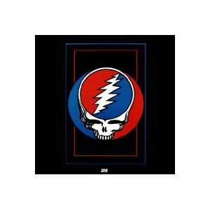  Steal Your Face Poster approx 24W x 36H Health & Personal 