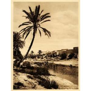  1924 Gabes Oasis Tunisia Lehnert Landrock Photogravure 