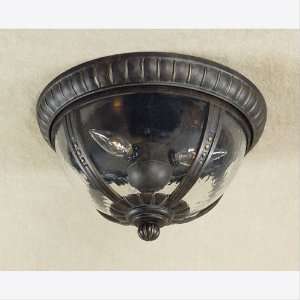  Rosemont Collection 14 Wide Flushmount Ceiling Light 