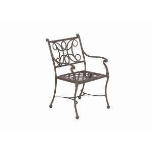 Landgrave Chateau Cast Aluminum Metal Arm Patio Dining Chair Cinnamon 