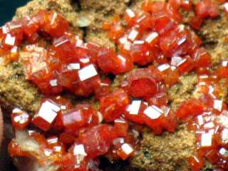 florid flamboyant Gemmy vermeil VANADINITE on matrix  