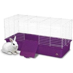  Rabbit Home Xlarge 3Cs