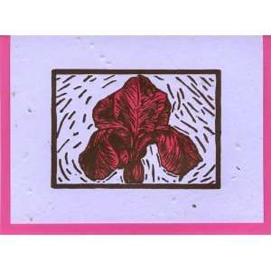   Note® Woodcut Iris Letterpress Cards 4 pack