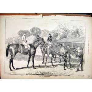  1876 Horses Derby Oaks Race Winners Kisber Camelia