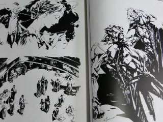 Shinobu Tanno Art book Guin Saga Illustrations  