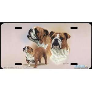 4329 Bulldog Trio Dog License Plate Car Auto Novelty Front Tag by 