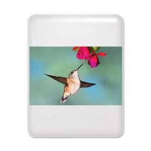 iPad Case White Black Chinned Hummingbird 