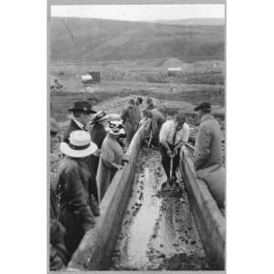  Photo Taking gold from Chatanika, sluice box 1900