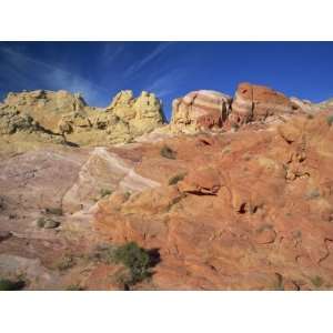 Multi Coloured Sandstone Rock Formations in the Valley of Fire State 