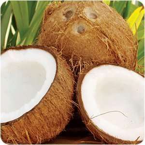 Coconut Oil   76 Degree Melt Point   25 Pounds