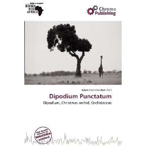    Dipodium Punctatum (9786138464792) Adam Cornelius Bert Books