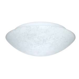   Incandescent Flushmount Ceiling Fixture from the Ring Collection 9770