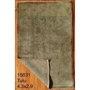  2x4 Hand Knotted Tulu Turkey Rug   29x43