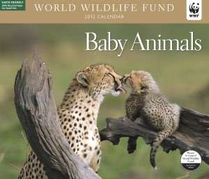   NOBLE  2012 Baby Animals WWF Wall Calendar by Silver Lining, Sterling