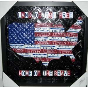  Aaron Foster License Plate Wall Art  AMERICA Land of the 