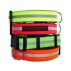  Reflecto Collar   Acid, Large 20 25 neck   Frontgate 