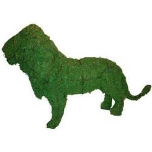  Lion 25 Mossed Topiary Frame
