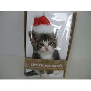  Box of Kitten with a Santa Hat Christmas Cards 10cnt 