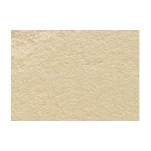  Stonehenge Printmaking Paper   Pack of 25 22x30   Fawn 