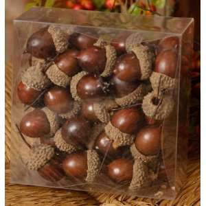  Acorns in a Box Patio, Lawn & Garden