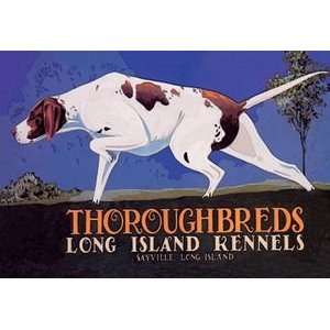  Thoroughbreds   Long Island Kennels   Paper Poster (18.75 