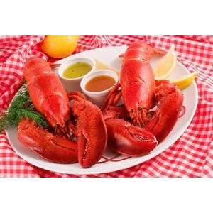 Lobster   Live Maine (4 1.5 Lb Lobsters)  Grocery 