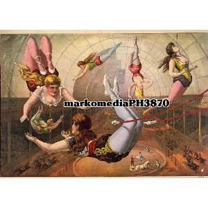  c1890 Female acrobats on trapezes at circus Everything 