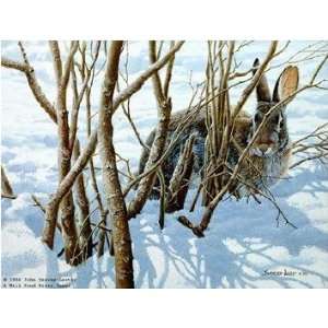  John Seerey Lester   Winter Hiding Cottontail