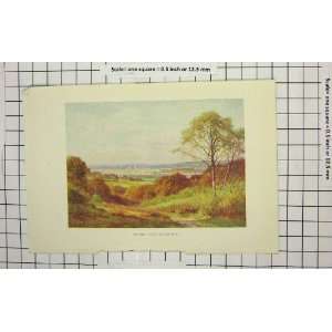 Colour Print View Oxford Boars Hill Trees England 