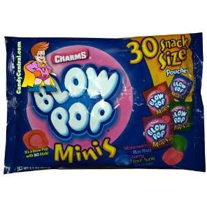Blow Pop Mini Snack Size Bulk (30 ct)  Grocery & Gourmet 