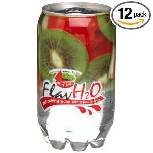 FlavH2O Kiwi Watermelon Drink (Pack of Grocery & Gourmet Food