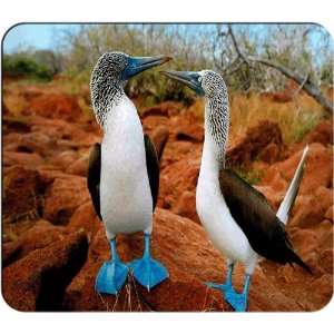  Happy Feet Mouse Pad 