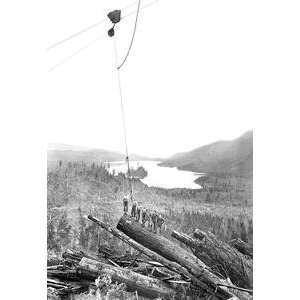  Vintage Art Logging Scene   03503 x