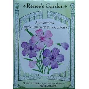   Agrostemma Purple Queen and Pink Contessa Seeds Patio, Lawn & Garden