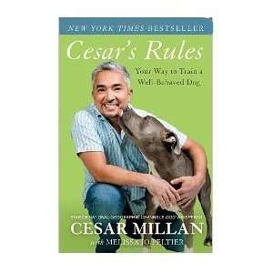  Cesars Rules Train a Well Behaved Dog (Quantity of 3 