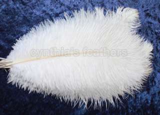 16 Grade B 12 14 White Ostrich Drab Plume Feathers Wedding decoration 