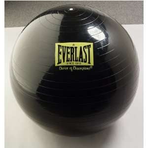  24 Inflatable Ball w/ Pump