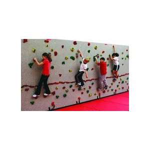  10 H x 20 W Standard Climbing Wall With 125 Groperz Hand 