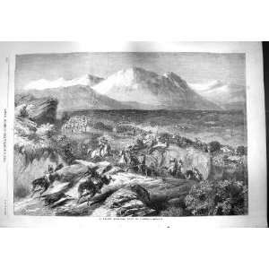    1861 RECENT WILD BOAR HUNT ALGERIA SPORT MOUNTAINS
