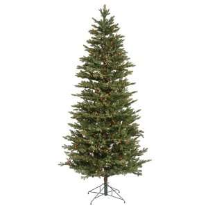  9.5 x 64 Waseca Frasier Fir Christmas Tree W/6964T 1200 