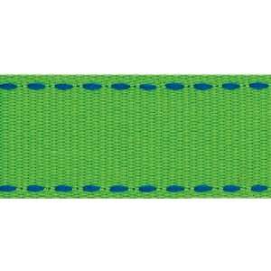  Sidesaddle Ribbon 5/8 9 Feet Electric Blue/Green