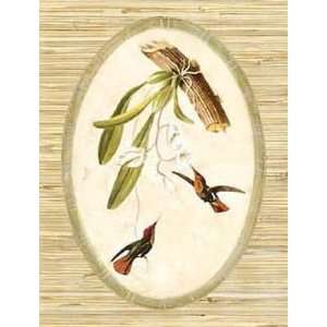  Hummingbird Rhythms I Poster Print