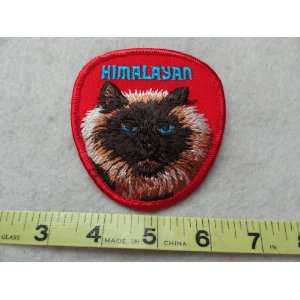 Himalayan Cat Patch