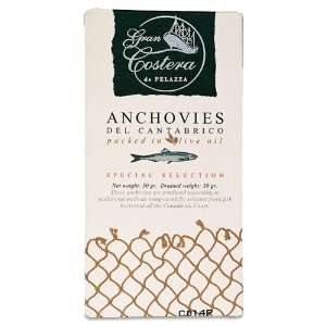 Anchovies in oil Gran Costera.  Grocery & Gourmet Food