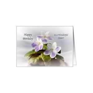  Happy Birthday Violets   Sister Card Health & Personal 
